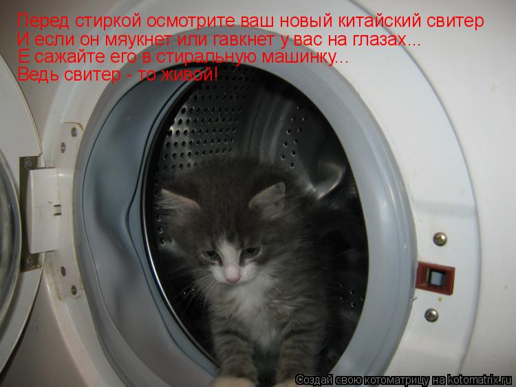 Котоматрица: Перед стиркой осмотрите ваш новый китайский свитер И если он мяукнет или гавкнет у вас на глазах... Е сажайте его в стиральную машинку... Ведь
