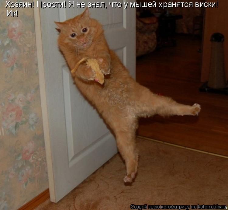 Котоматрица: Хозяин! Прости! Я не знал, что у мышей хранятся виски! Ик!