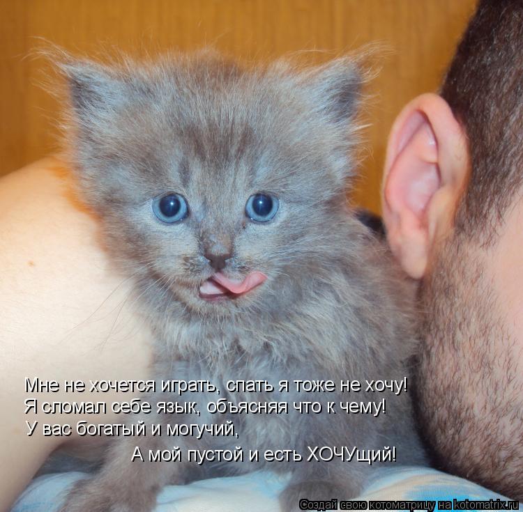 Котоматрица: Мне не хочется играть, спать я тоже не хочу! Я сломал себе язык, объясняя что к чему! У вас богатый и могучий, А мой пустой и есть ХОЧУщий!