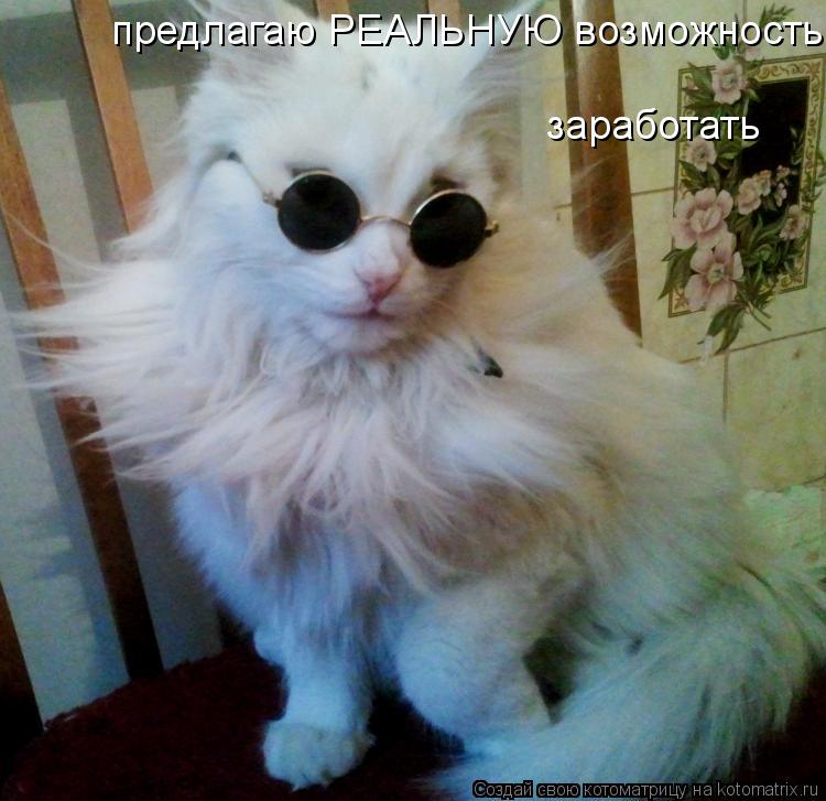 Котоматрица: заработать предлагаю РЕАЛЬНУЮ возможность