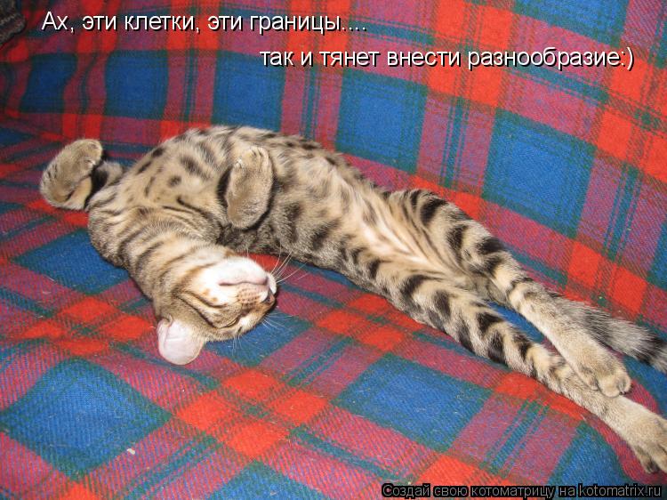 Котоматрица: Ах, эти клетки, эти границы.... так и тянет внести разнообразие:)