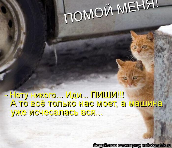 Котоматрица: - Нету никого... Иди... ПИШИ!!! ПОМОЙ МЕНЯ! А то всё только нас моет, а машина уже исчесалась вся...