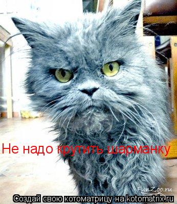 Котоматрица: Не надо крутить шарманку