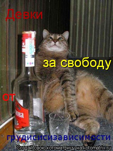 Котоматрица: Девки за свободу от  грудисисизависимости