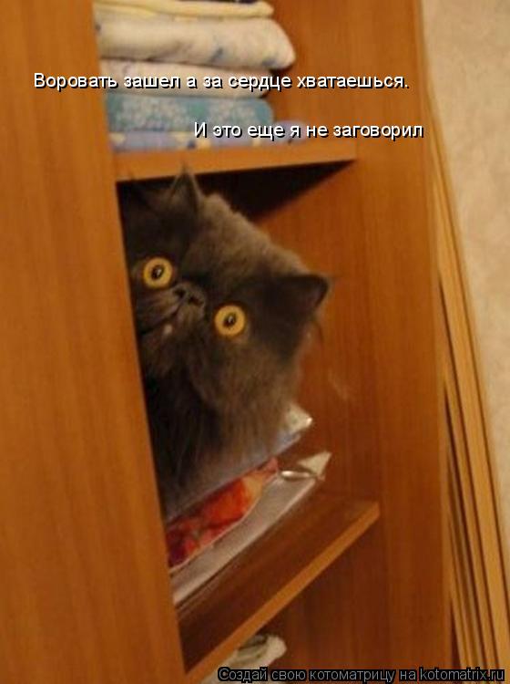 Котоматрица: Воровать зашел а за сердце хватаешься. И это еще я не заговорил