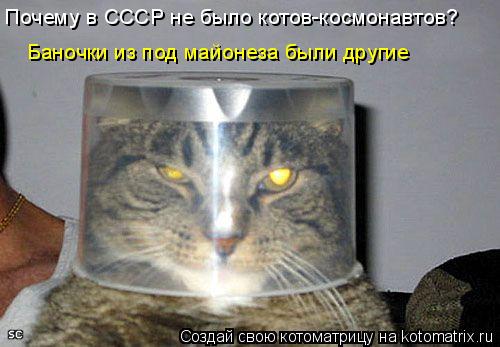 Котоматрица: Почему в СССР не было котов-космонавтов? Баночки из под майонеза были другие