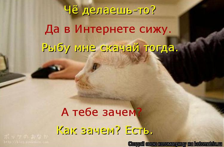 Котоматрица: Да в Интернете сижу. Чё делаешь-то? Рыбу мне скачай тогда. Как зачем? Есть. А тебе зачем?