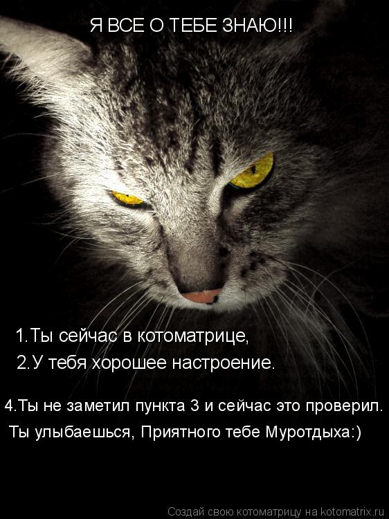 Котоматрица: 1.Ты сейчас в котоматрице, 2.У тебя хорошее настроение. 4.Ты не заметил пункта 3 и сейчас это проверил. Ты улыбаешься, Приятного тебе Муротдыха: