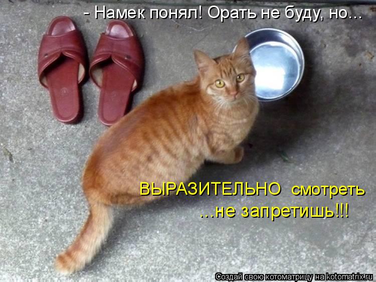 - Намек понял! Орать не буду, но... ВЫРАЗИТЕЛЬНО смотреть ...не запретишь!!!... Котоматрица: - Намек понял! Орать не буду, но... ВЫРАЗИТЕЛЬНО смотреть ...не запретишь!!!