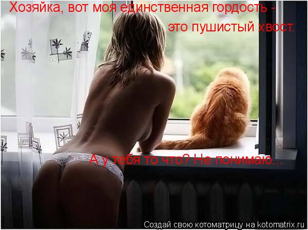 Котоматрица: Хозяйка, вот моя единственная гордость - это пушистый хвост. А у тебя то что? Не понимаю...