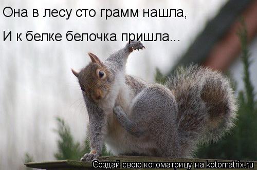 Она в лесу сто грамм нашла, И к белке белочка пришла...... Котоматрица: Она в лесу сто грамм нашла, И к белке белочка пришла...