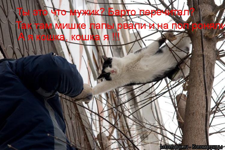 Котоматрица: Ты это что мужик? Барто перечитал? Так там мишке лапы рвали и на пол роняли! А я кошка, кошка я !!!