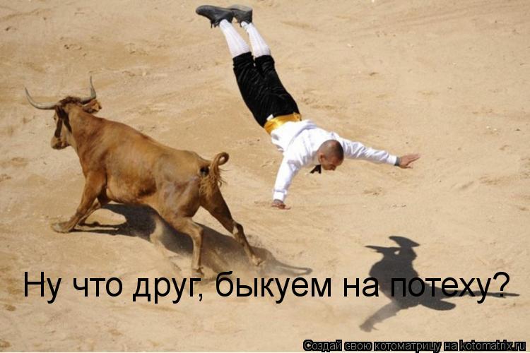 Котоматрица: Ну что друг, быкуем на потеху?