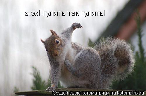Котоматрица: э-эх! гулять так гулять!