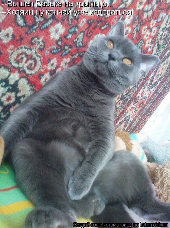 Котоматрица: --Вышел Васька на крыльцо... --Хозяин,ну кончай уже издеваться!