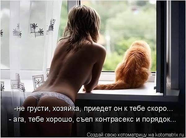 Котоматрица: -не грусти, хозяйка, приедет он к тебе скоро... - ага, тебе хорошо, съел контрасекс и порядок...