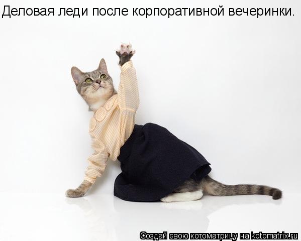 Котоматрица: Деловая леди после корпоративной вечеринки.