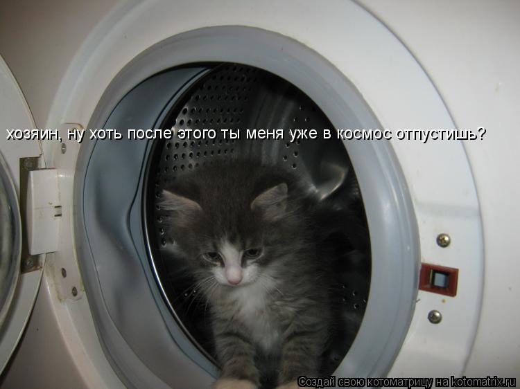 Котоматрица: хозяин, ну хоть после этого ты меня уже в космос отпустишь?