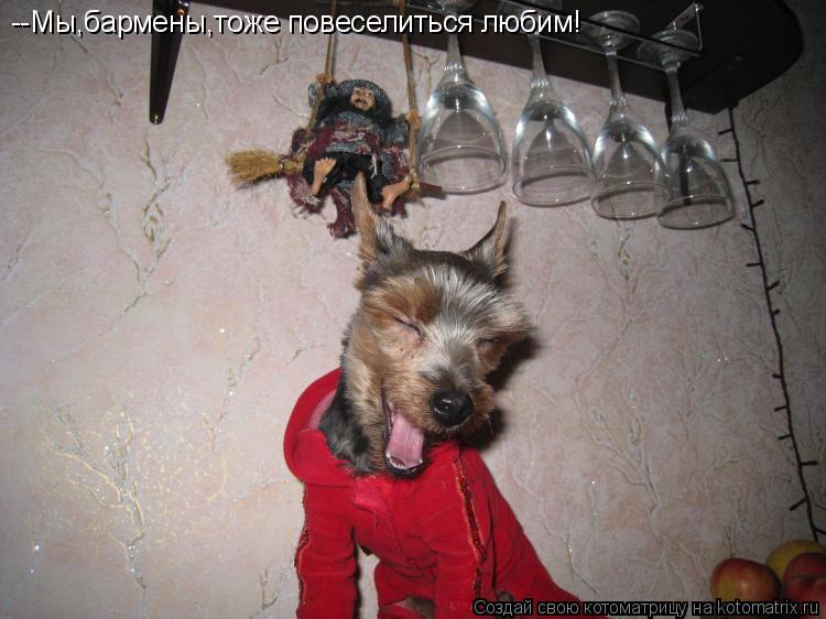 Котоматрица: --Мы,бармены,тоже повеселиться любим!