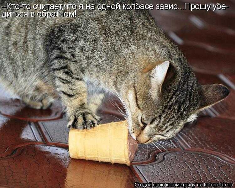 Котоматрица: --Кто-то считает,что я на одной колбасе завис...Прошу убе- диться в обратном!