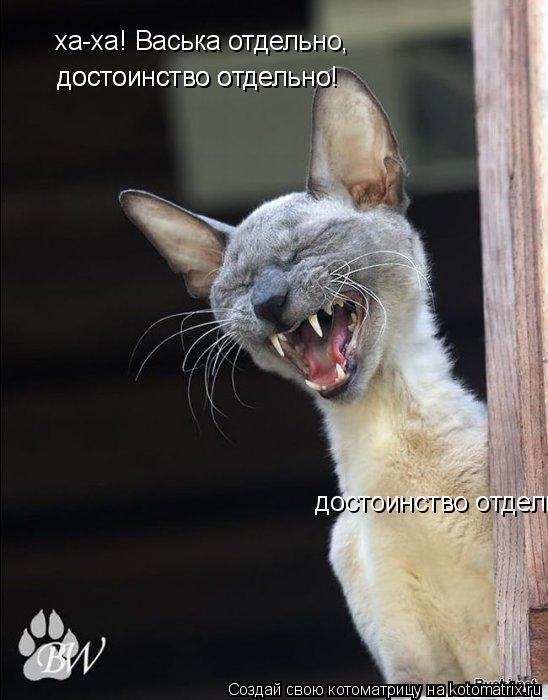 Котоматрица: ха-ха! Васька отдельно,  достоинство отдельно! достоинство отдельно! достоинство отдельно!