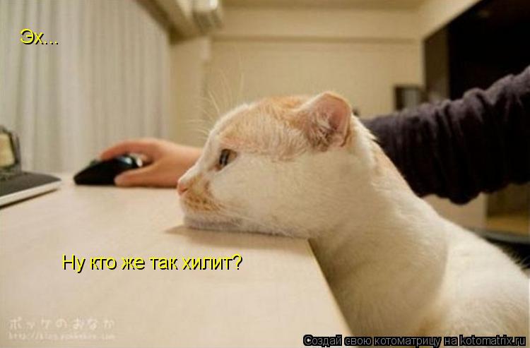 Котоматрица: Эх... Ну кто же так хилит?
