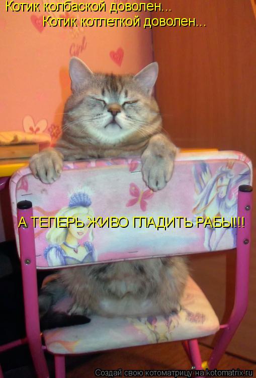 Котоматрица: Котик колбаской доволен... Котик котлеткой доволен... А ТЕПЕРЬ ЖИВО ГЛАДИТЬ РАБЫ!!!
