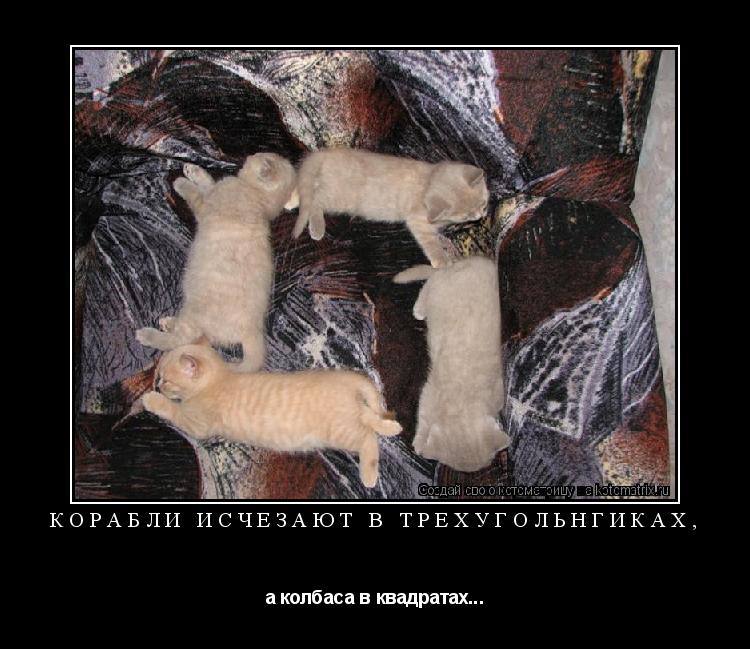 Котоматрица: Корабли исчезают в трёхугольнгиках, а колбаса в квадратах...