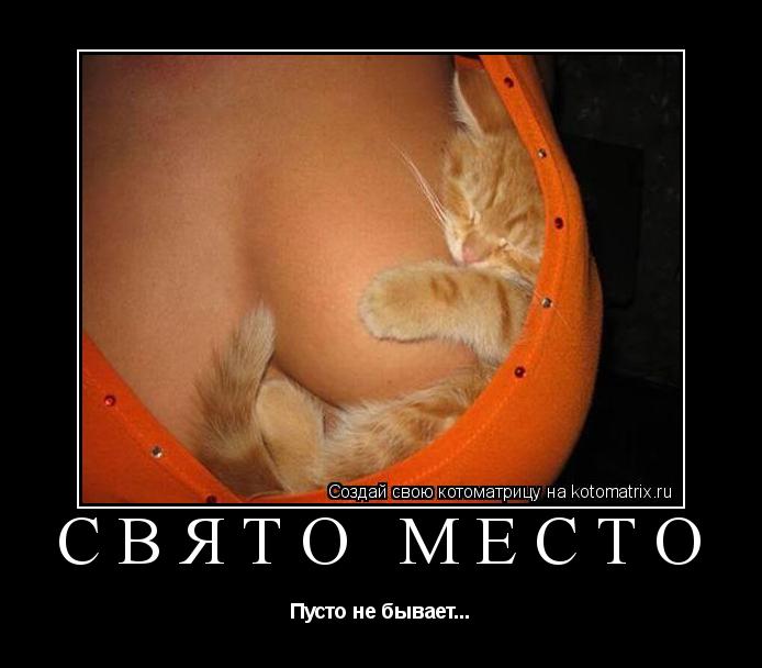 Котоматрица: Свято место Пусто не бывает...