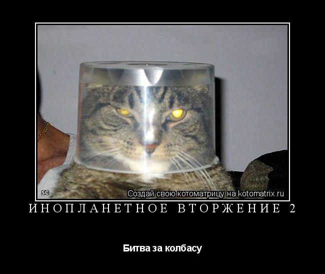 Котоматрица: Инопланетное вторжение 2 Битва за колбасу