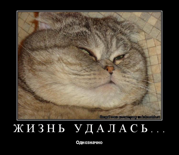 Котоматрица: Жизнь удалась... Однозначно