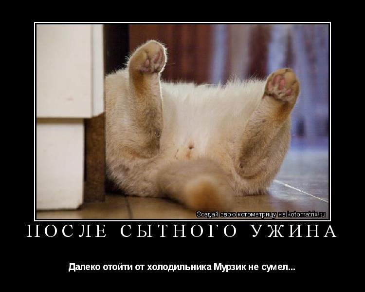 Котоматрица: После сытного ужина Далеко отойти от холодильника Мурзик не сумел...