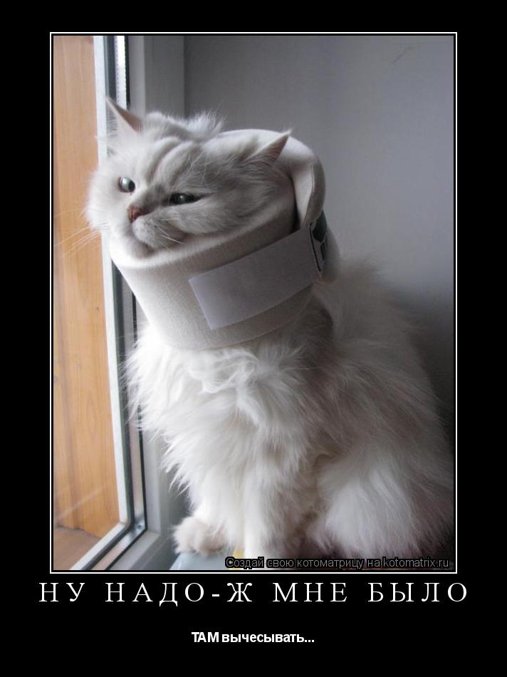 Котоматрица: Ну надо-ж мне было ТАМ вычесывать...