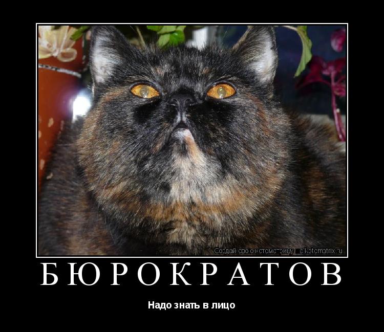 Котоматрица: Бюрократов Надо знать в лицо