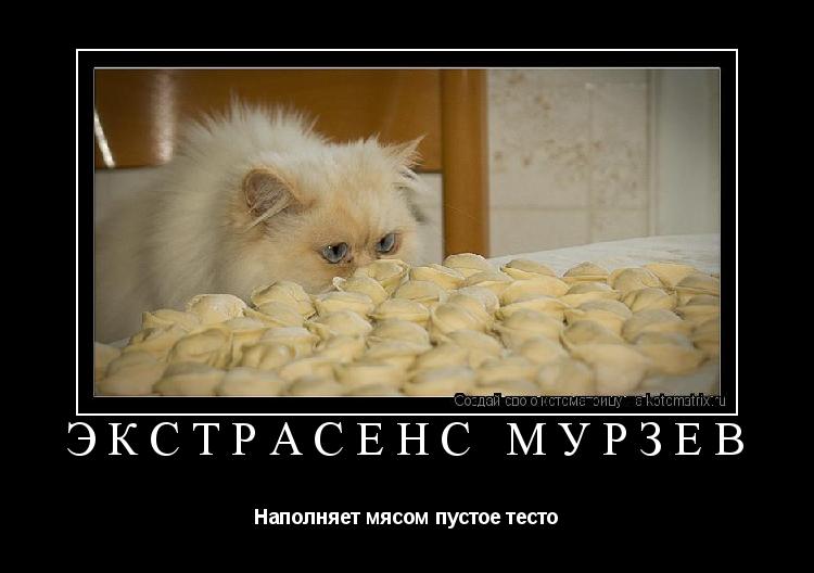 Котоматрица: Экстрасенс Мурзев Наполняет мясом пустое тесто
