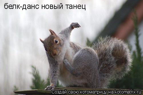 белк-данс новый танец... Котоматрица: белк-данс новый танец