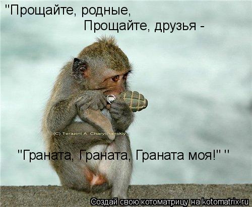 Котоматрица: ''Прощайте, родные, Прощайте, друзья -  "Граната, Граната, Граната моя!" ''
