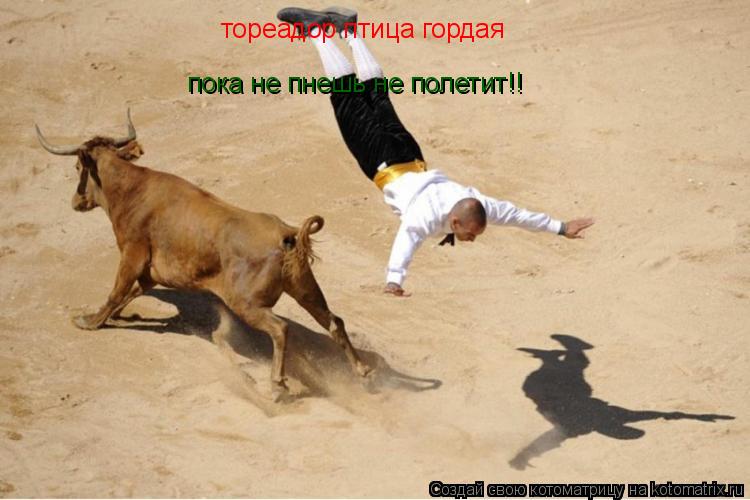 Котоматрица: тореадор птица гордая  пока не пнешь не полетит!!