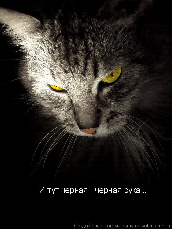 Котоматрица: -И тут черная - черная рука...