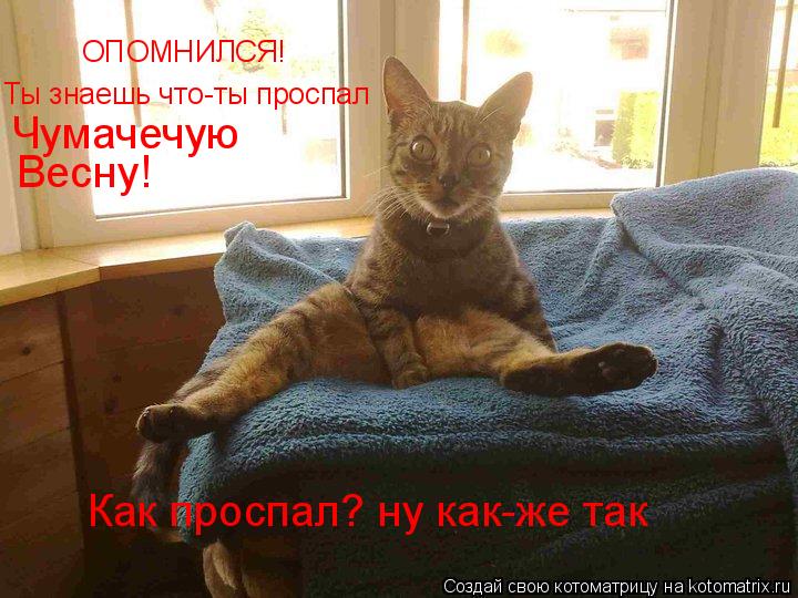 Котоматрица: ОПОМНИЛСЯ! Ты знаешь что-ты проспал Чумачечую Весну! Как проспал? ну как-же так