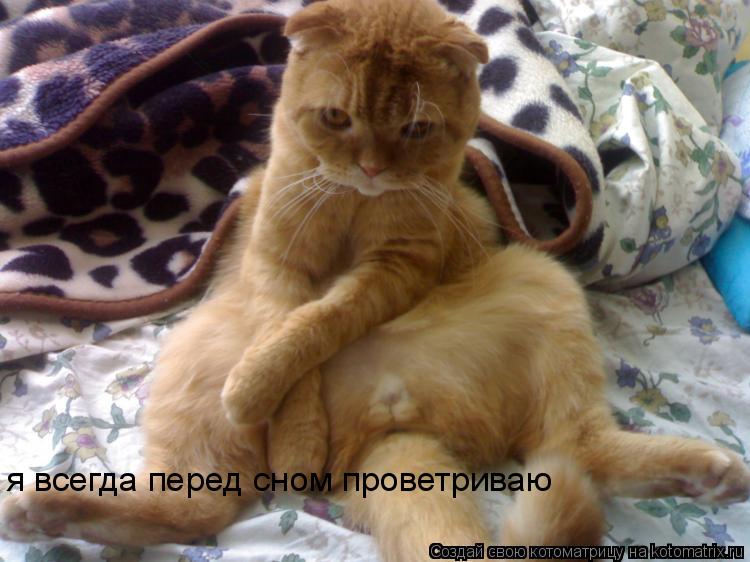 Котоматрица: я всегда перед сном проветриваю