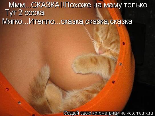 Котоматрица: Ммм...СКАЗКА!!Похоже на маму только  Тут 2 соска Мягко...Итепло...сказка,сказка,сказка Мягко...Итепло...сказка,сказка,сказка