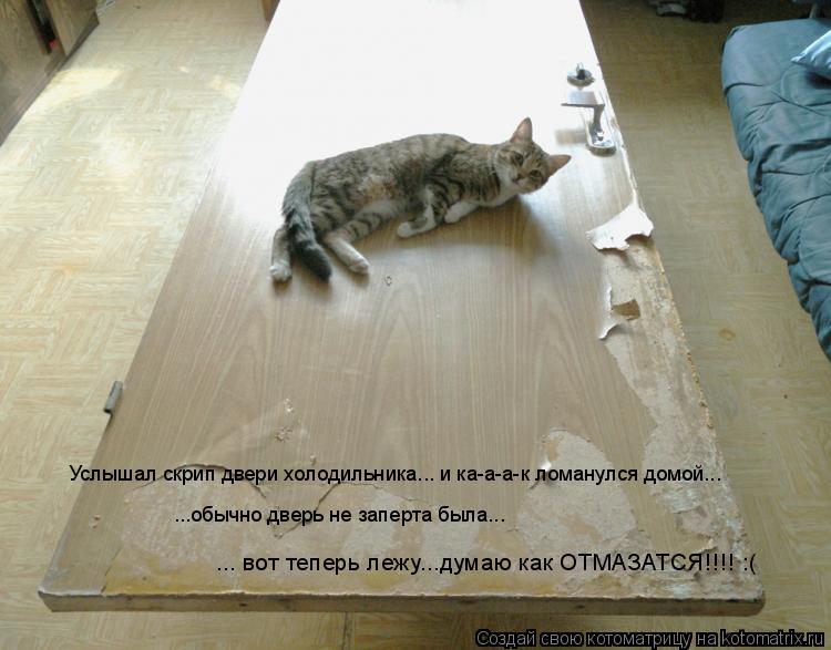 Котоматрица: Услышал скрип двери холодильника... и ка-а-а-к ломанулся домой... ...обычно дверь не заперта была... ... вот теперь лежу...думаю как ОТМАЗАТСЯ!!!! :(