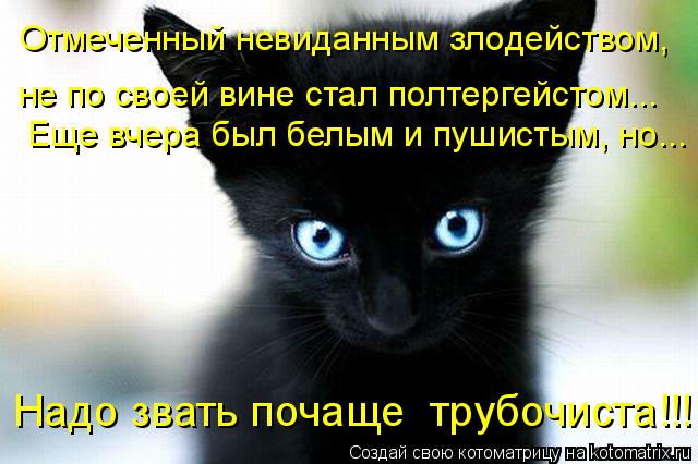 Котоматрица: Отмеченный невиданным злодейством,  не по своей вине стал полтергейстом... Еще вчера был белым и пушистым, но... Надо звать почаще  трубочиста