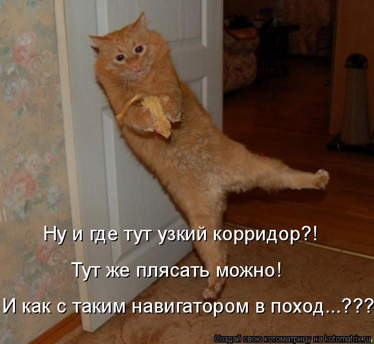Котоматрица: Ну и где тут узкий корридор?! Тут же плясать можно! И как с таким навигатором в поход...???