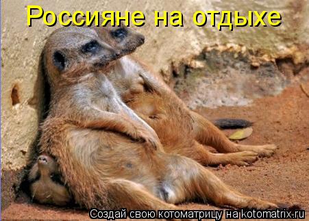 Котоматрица: Россияне на отдыхе