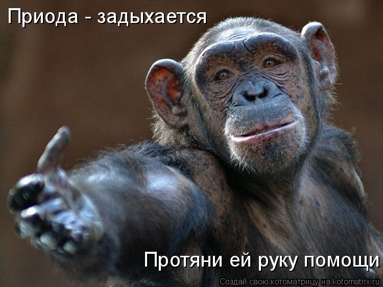 Котоматрица: Приода - задыхается  Протяни ей руку помощи
