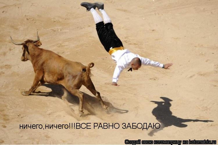 Котоматрица: ничего,ничего!!!ВСЕ РАВНО ЗАБОДАЮ