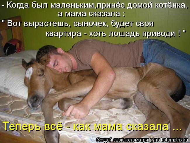 Котоматрица: - Когда был маленьким,принёс домой котёнка, а мама сказала : квартира - хоть лошадь приводи ! " " Вот вырастешь, сыночек, будет своя Теперь всё - 