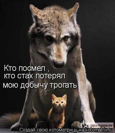 Котоматрица: Кто посмел , кто стах потерял мою добычу трогать